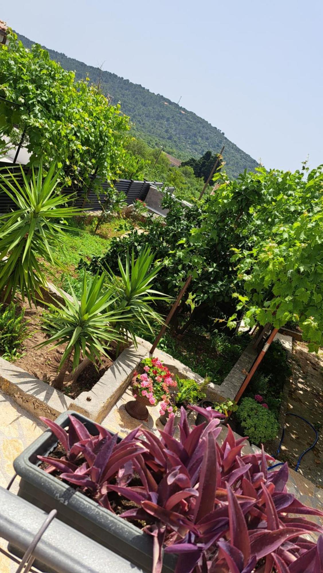 Donje Selo na Šolti Apartments Tomina מראה חיצוני תמונה